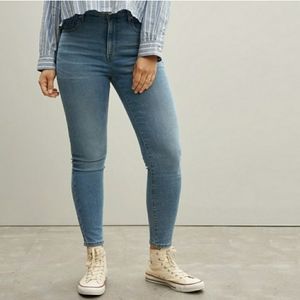 Everlane The Curvy High Rise Skinny Plus Size Jeans